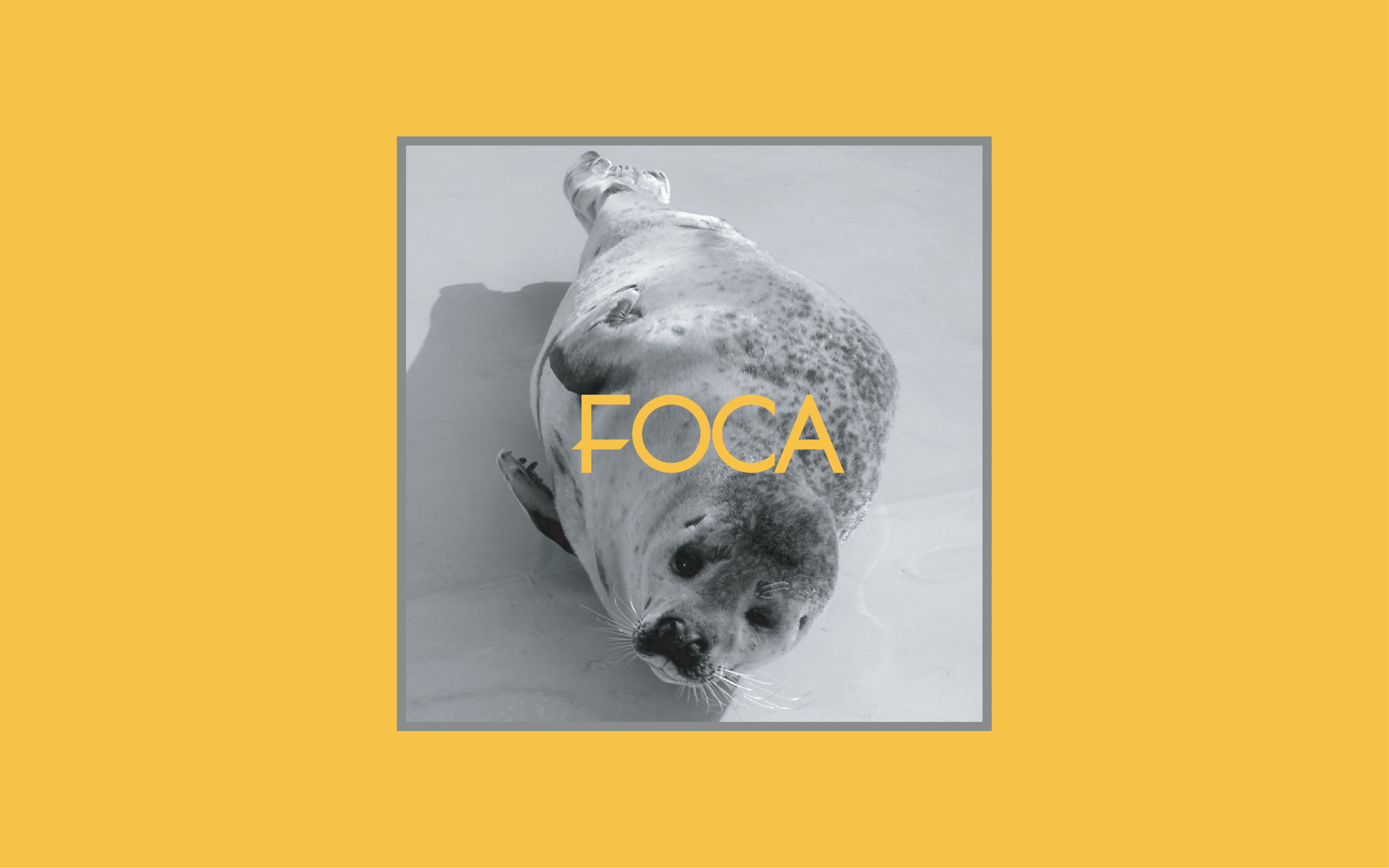 foca01